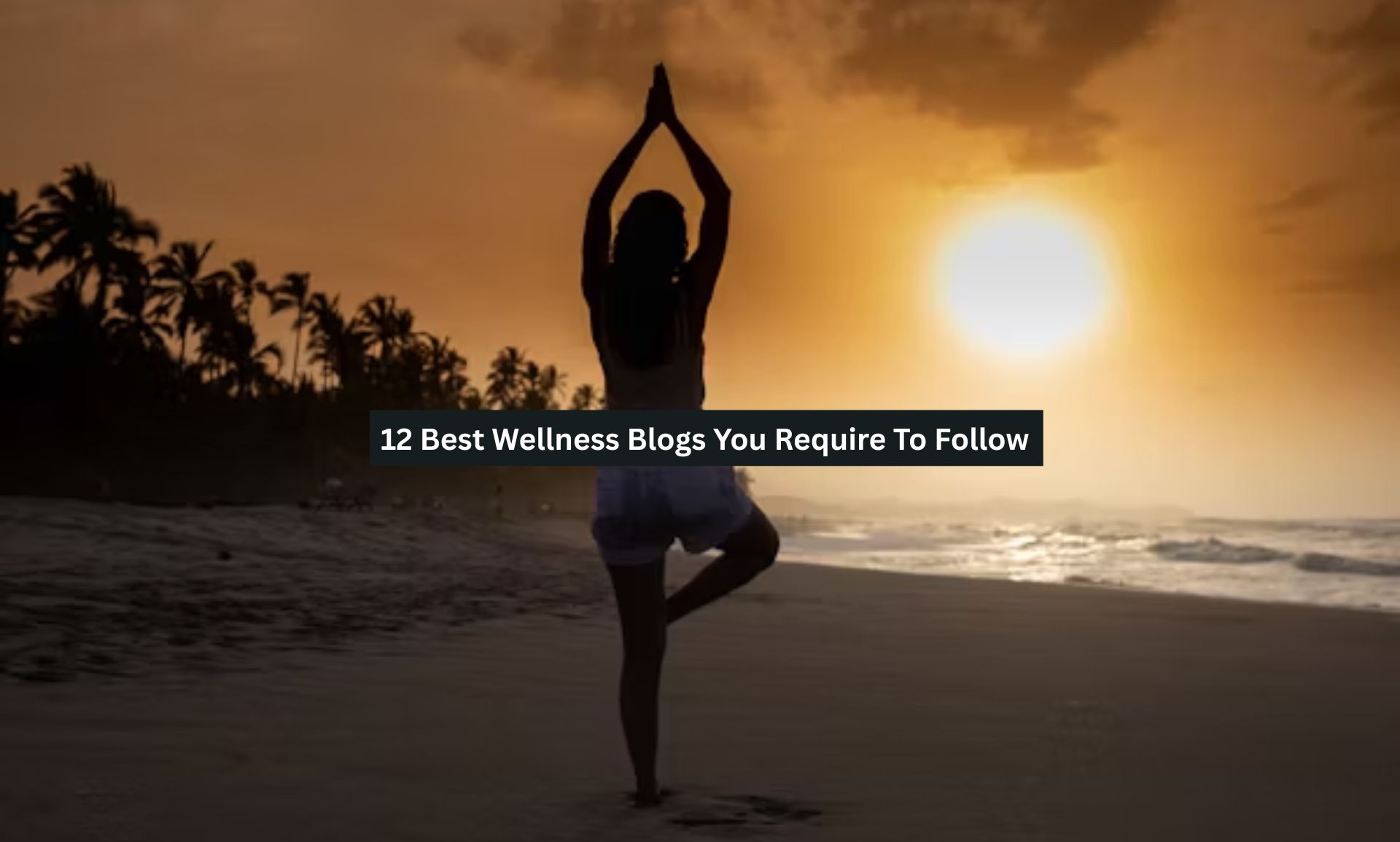 Best Wellness Blogs