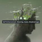 Self-Enhancement